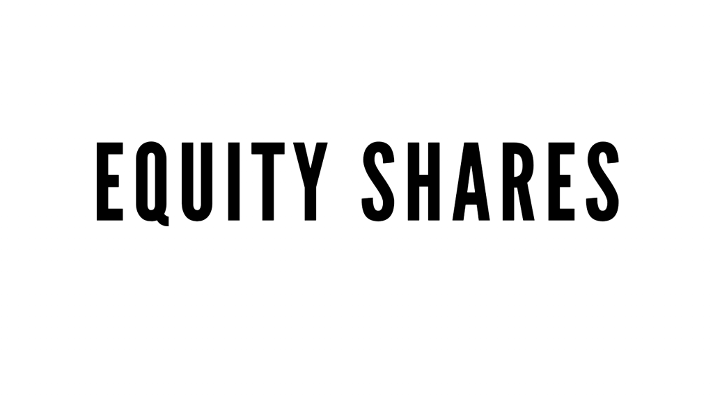 What is Equity Share 1 equity share