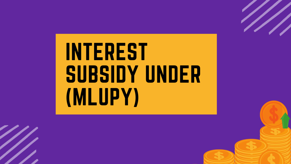 Mukhyamantri Laghu Udhyog Protsahan Yojana (MLUPY)